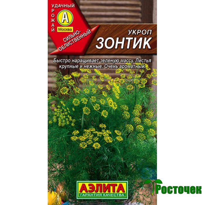 Укроп Зонтик