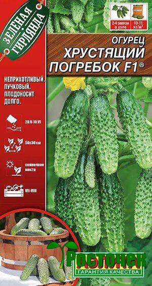 Огурец Хрустящий погребок F1