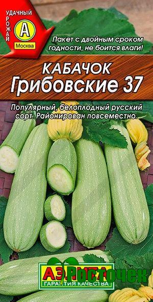 Кабачок белоплодный Грибовские 37