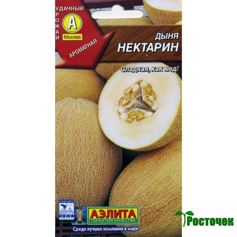 Дыня Нектарин