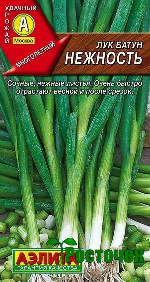 Лук батун Нежность